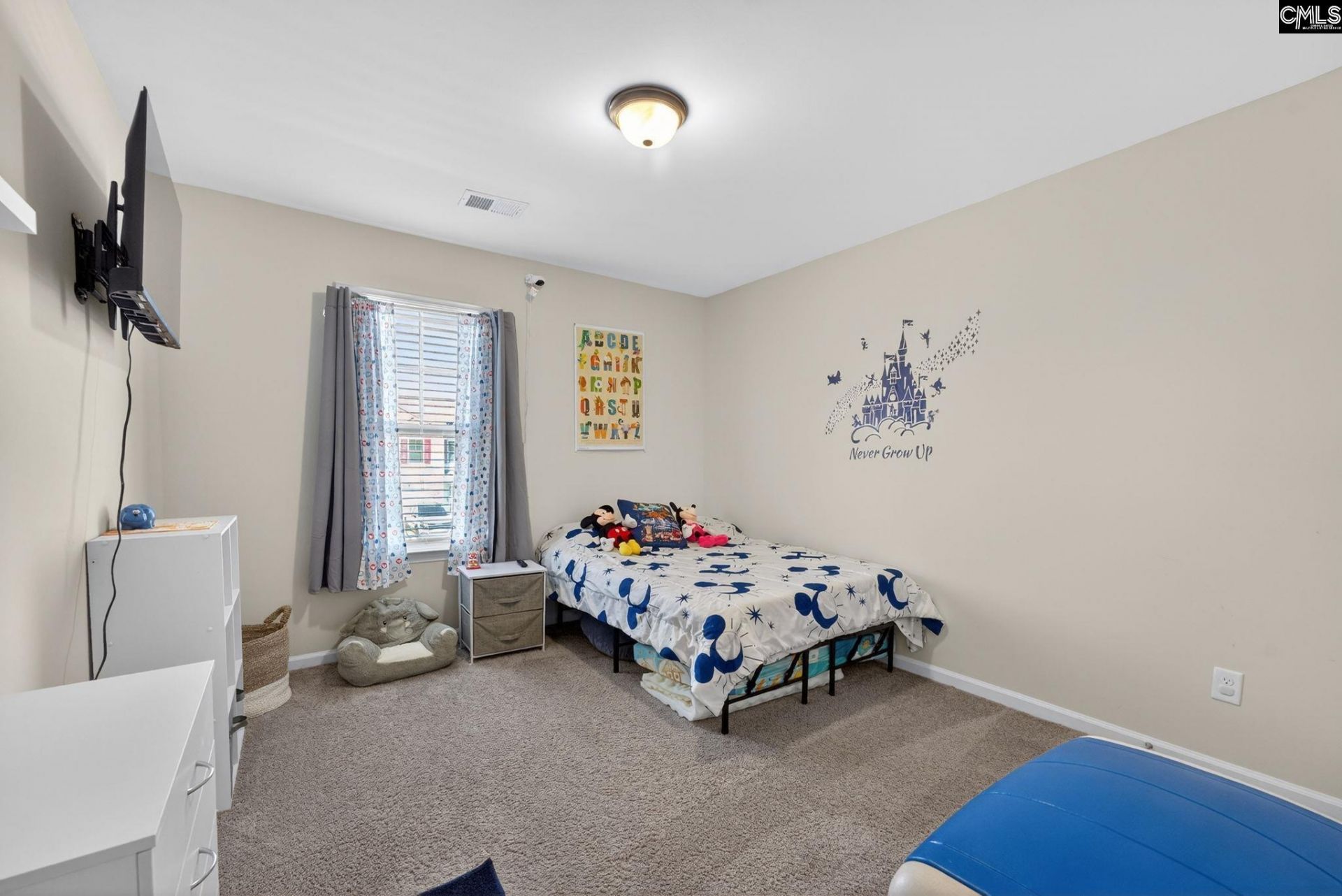 209 Carriagebrook Circle Photo 35