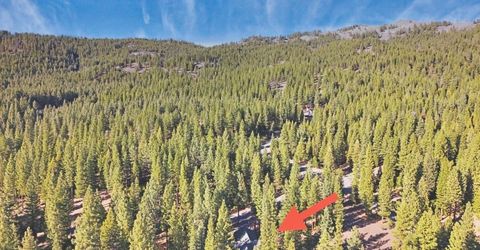 462 Arrowleaf Road, Portola, CA 96122 Photo