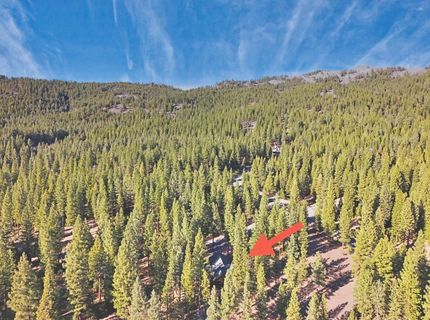 462 Arrowleaf Road, Portola, CA 96122 Photo