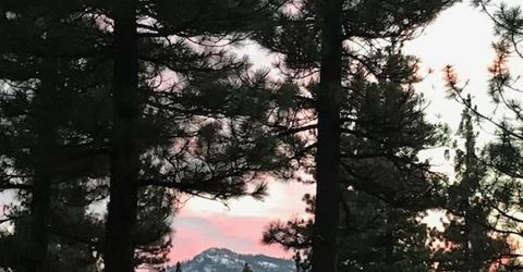 462 Arrowleaf Road, Portola, CA 96122 Photo