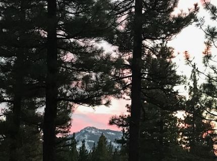 462 Arrowleaf Road, Portola, CA 96122 Photo