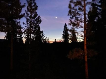 462 Arrowleaf Road, Portola, CA 96122 Photo