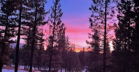 462 Arrowleaf Road, Portola, CA 96122 Photo