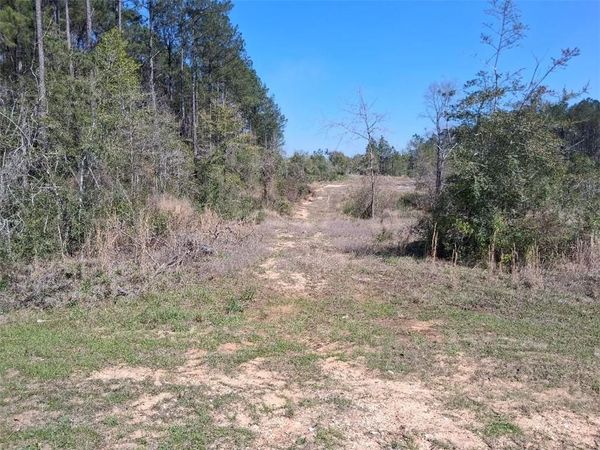 00000 Old Citronelle Highway, Chunchula, AL 36522
