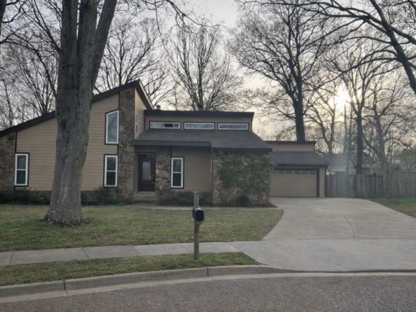 8255 HARDWOOD CV, Memphis, TN 38016