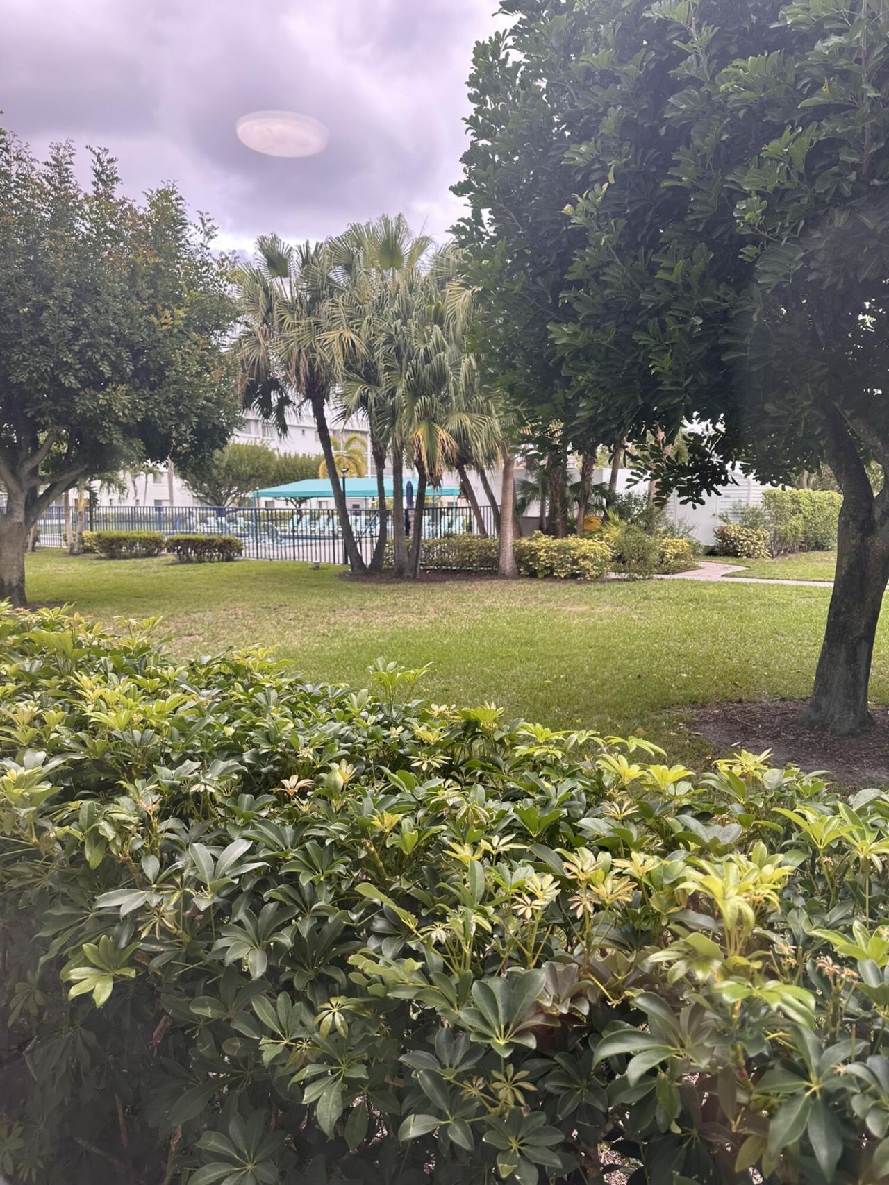 6698 10th Avenue N, Unit 116, Greenacres, FL 33467 Photo