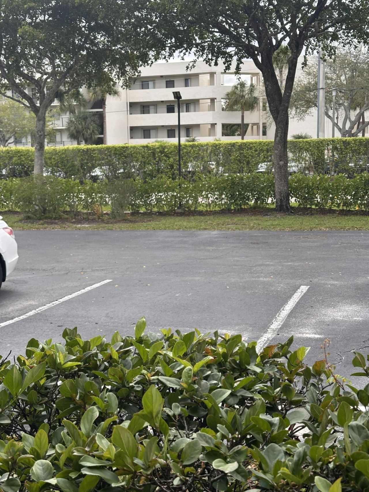 6698 10th Avenue N, Unit 116, Greenacres, FL 33467 Photo