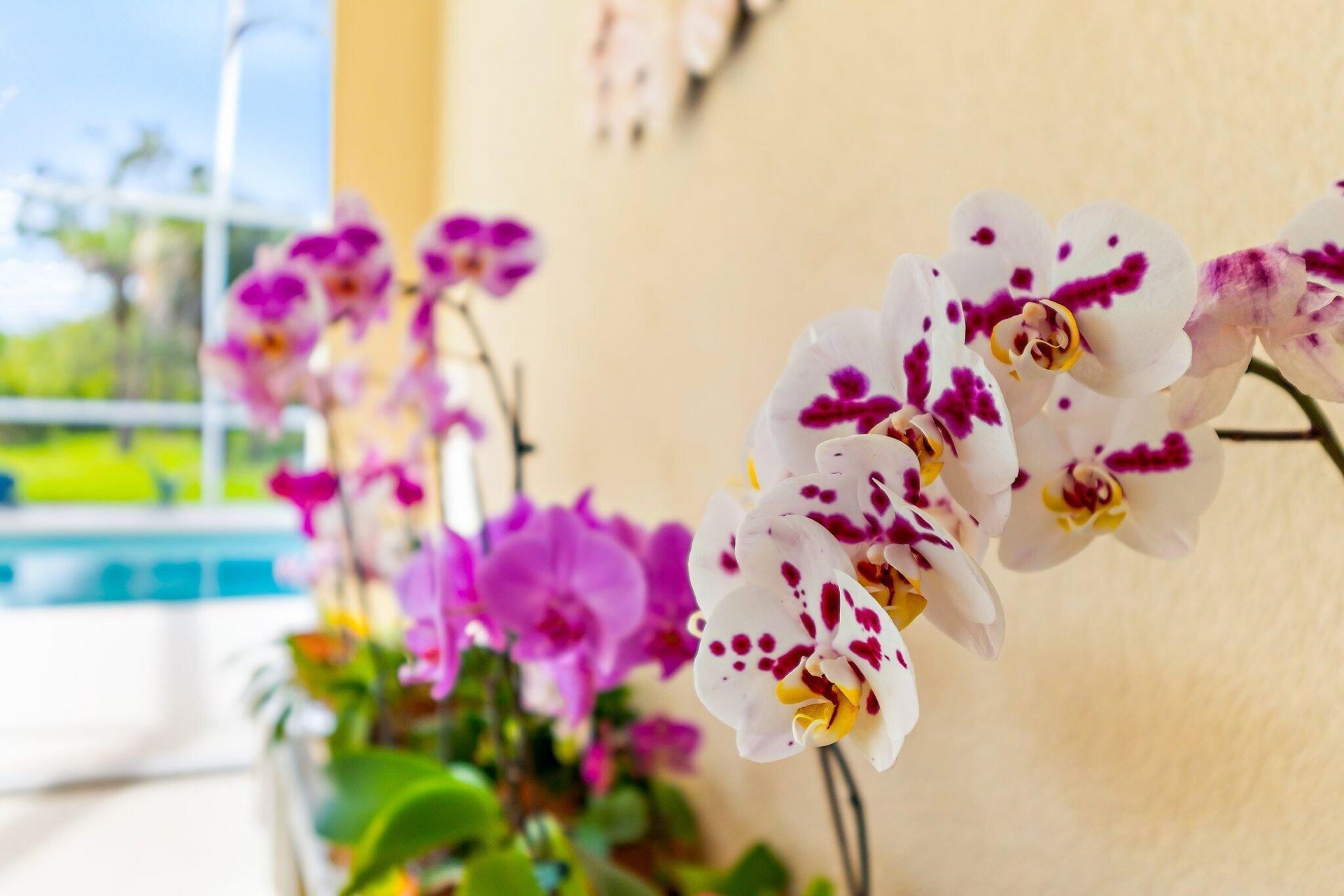 8240 SE Paurotis Lane, Hobe Sound, FL 33455 Photo