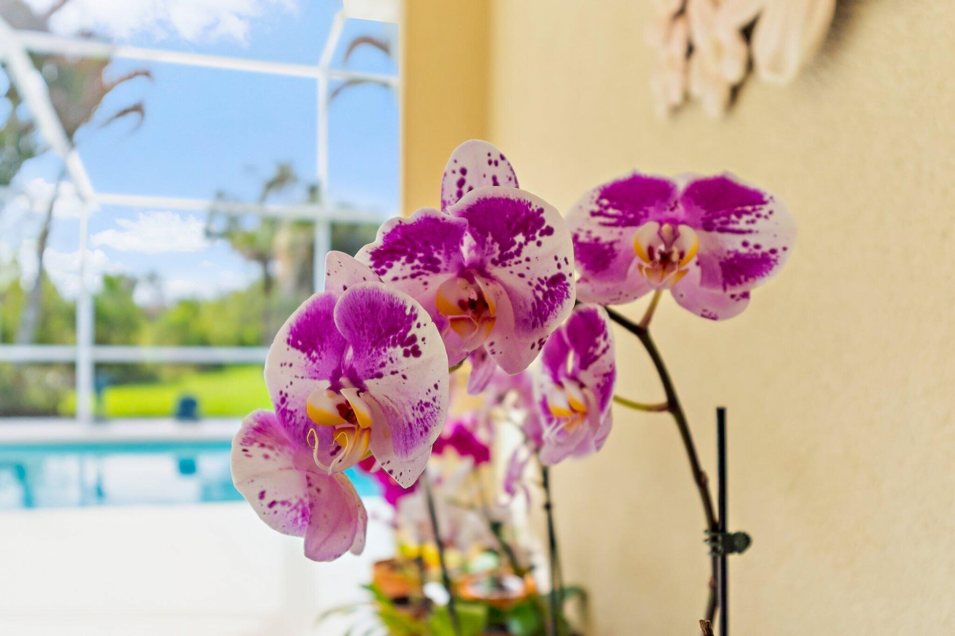 8240 SE Paurotis Lane, Hobe Sound, FL 33455 Photo