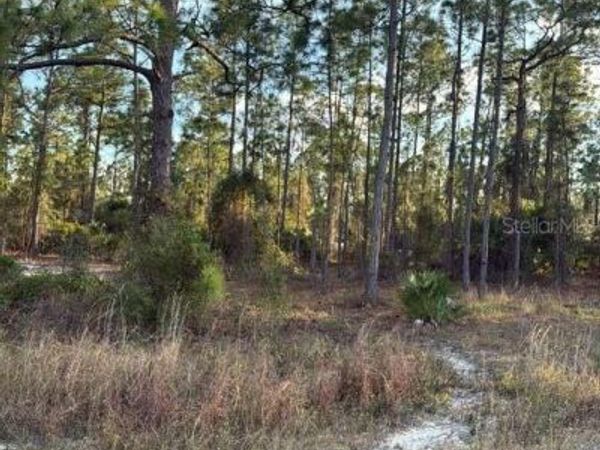 918 BELMONT STREET E, LEHIGH ACRES, FL 33974