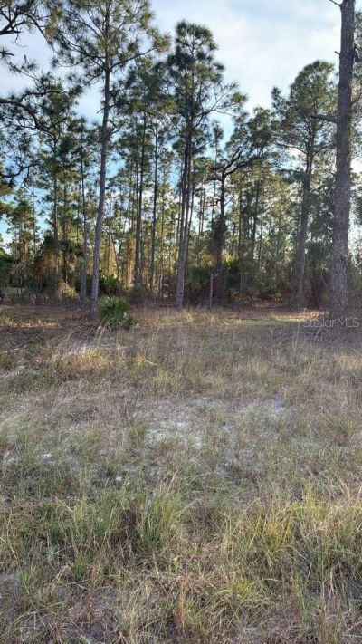 918 Belmont Street E, Lehigh Acres, FL 33974 Photo