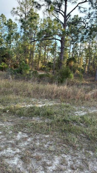 918 Belmont Street E, Lehigh Acres, FL 33974 Photo