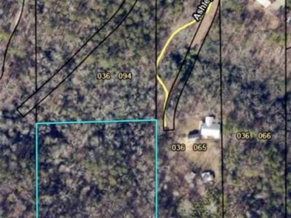 0 Ashley Oaks Drive, Dawsonville, GA 30534