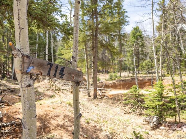 714 Will Stutley Drive , Divide, CO 80814