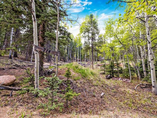 714 Will Stutley Drive, Divide, CO 80814