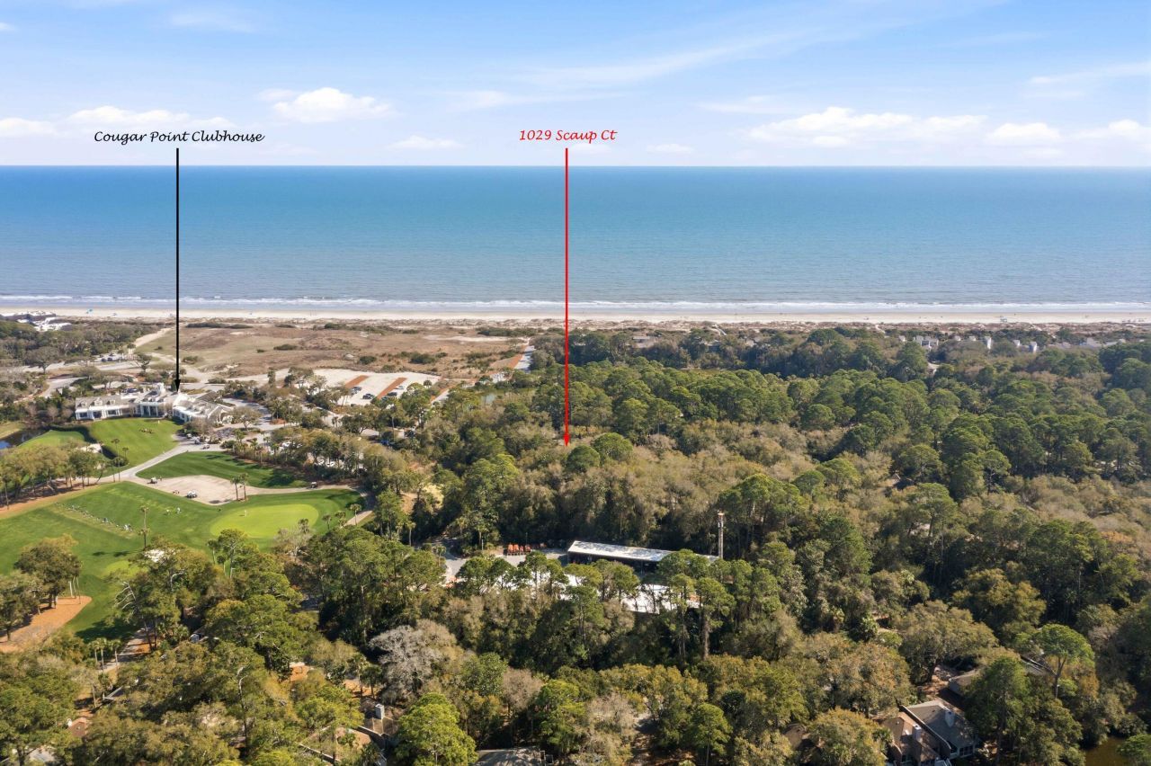 1029 Scaup Court Photo 81