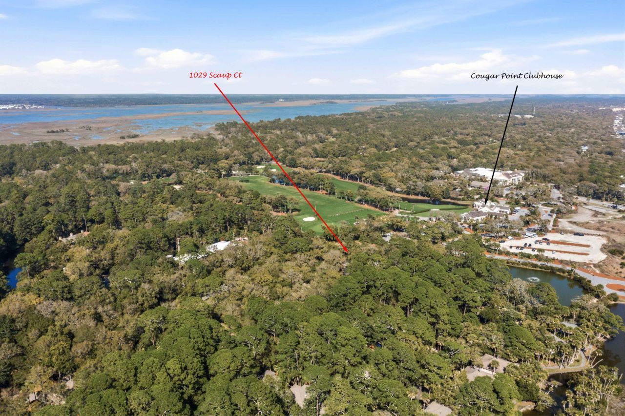 1029 Scaup Court Photo 82