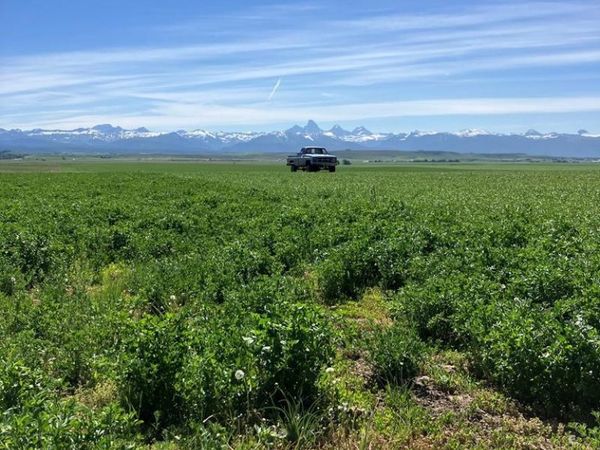 N 4485 W 9500 S, FELT, ID 83424