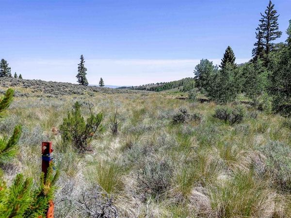 TBD Cochetopa Trail, Powderhorn, CO 81243