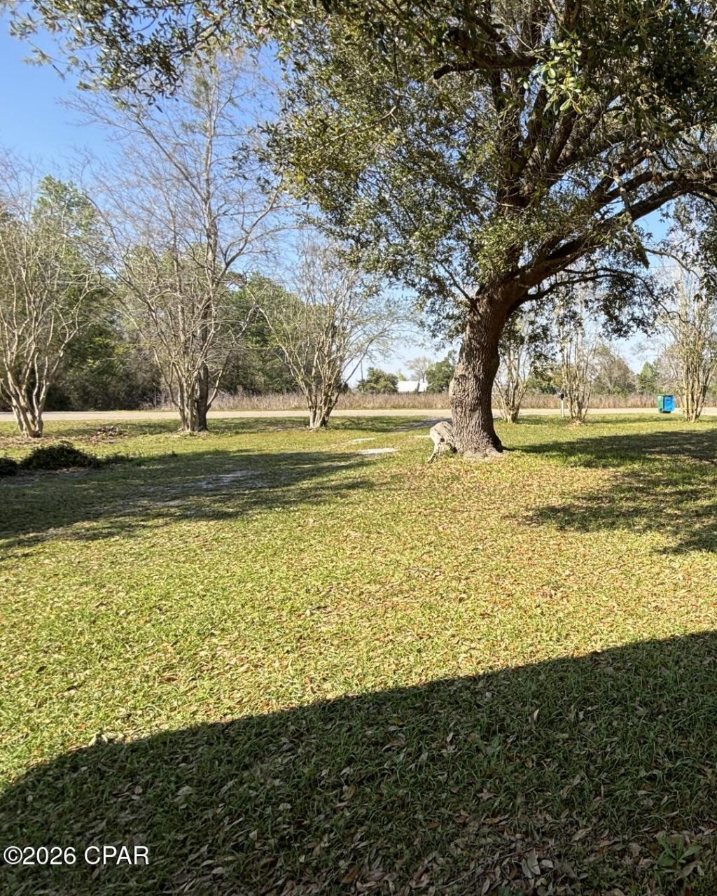 19655 Barfield Road, Blountstown, FL 32424 Main Photo