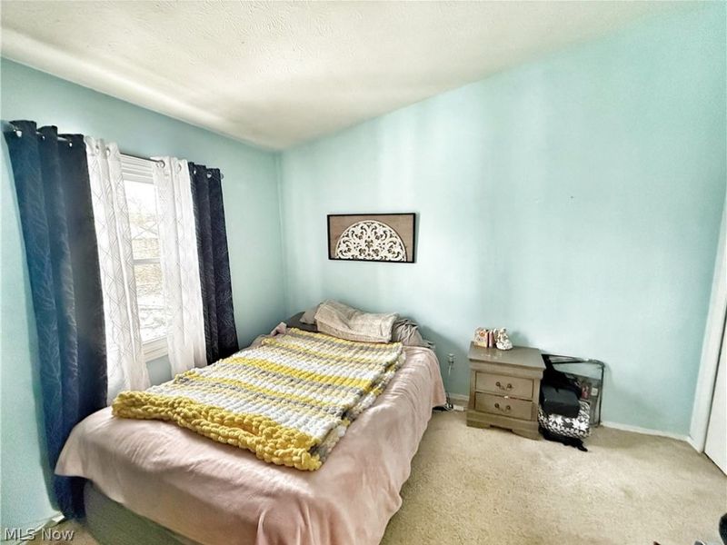 7031 Woodthrush Drive, Painesville Township, OH 44077 Photo 15