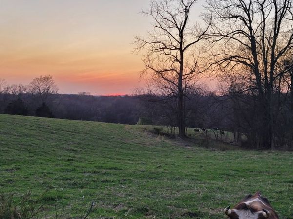 1 Haley Rd , College Grove, TN 37046