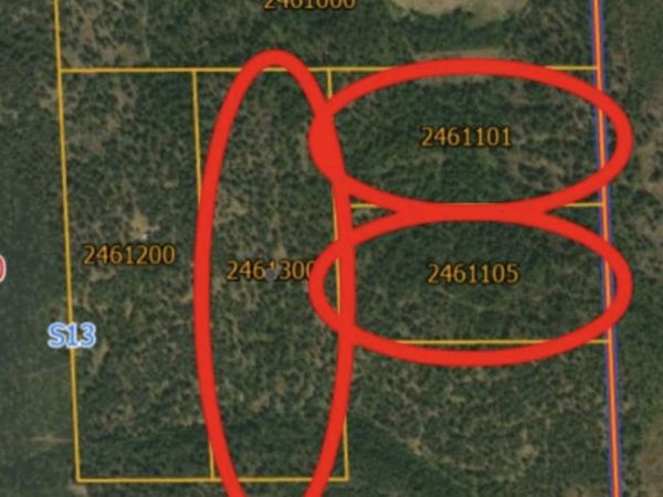 XXXX Dome Lane Way, Springdale, WA 99148