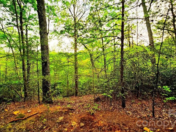 Lot 59 Bear Cliff Way , Lake Lure, NC 28746