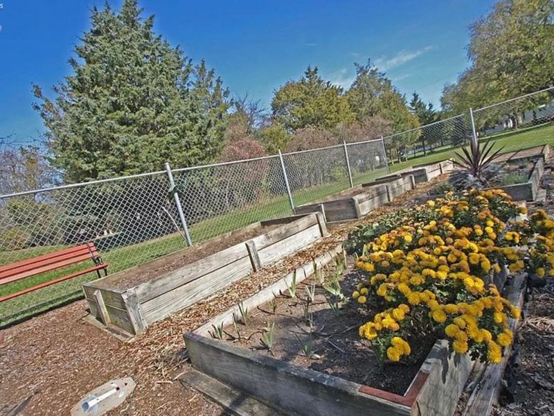 110 Pickerel, Kelleys Island, OH 43438 Photo 19