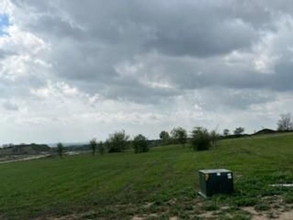 101 Alexander Court, Cresson, TX 76035