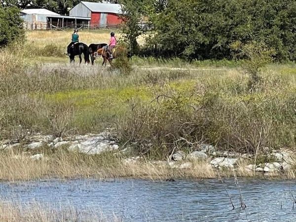 1409 LAVACA DR , Canyon Lake, TX 78133