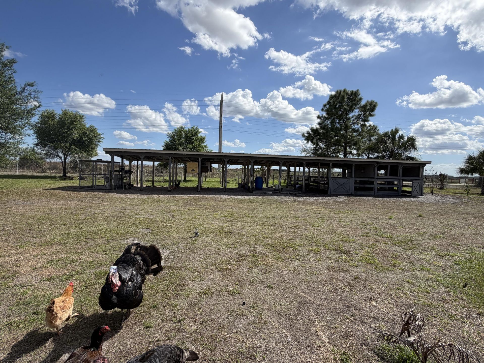 5500 Hendry Isles Boulevard, Clewiston, FL 33440 Photo