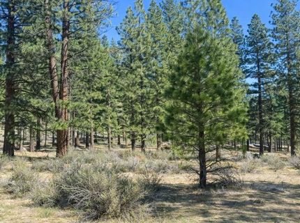 3568 Knob Pt Trail, Lot #102, Carson City, NV 89705 Photo