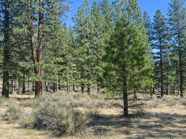 3568 Knob Pt Trail, Unit 102, Carson City, NV 89705