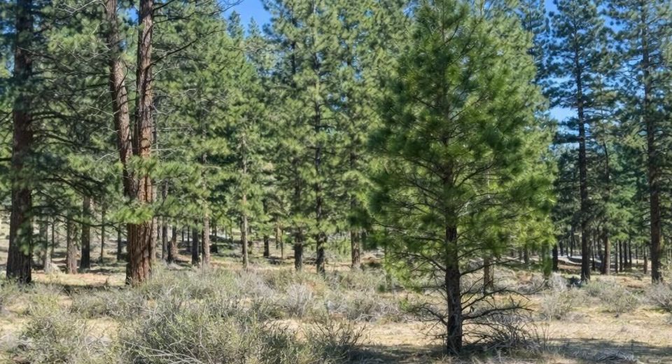 3568 Knob Pt Trail, Lot #102, Carson City, NV 89705 Photo