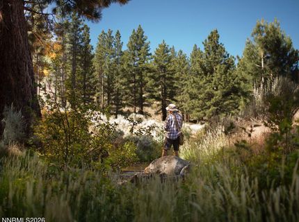 3568 Knob Pt Trail, Lot #102, Carson City, NV 89705 Photo