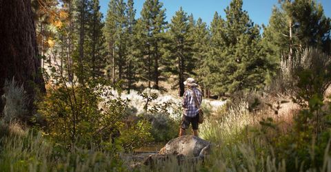 3568 Knob Pt Trail, Lot #102, Carson City, NV 89705 Photo