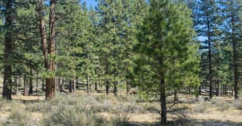 3568 Knob Pt Trail, Lot #102, Carson City, NV 89705 Photo