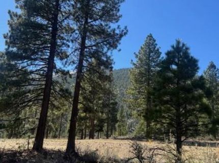 3568 Knob Pt Trail, Lot #102, Carson City, NV 89705 Photo