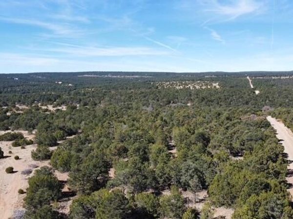 McComb Road , Unit Tract AA, Edgewood, NM 87015