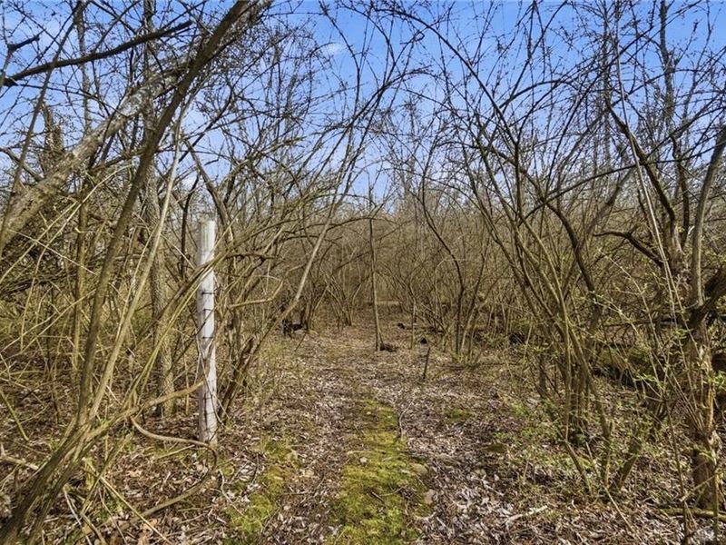 6459 Manning Road, Miamisburg, OH 45342 Photo 61