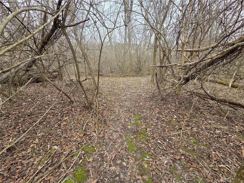 6459 Manning Road, Miamisburg, OH 45342 Photo 62