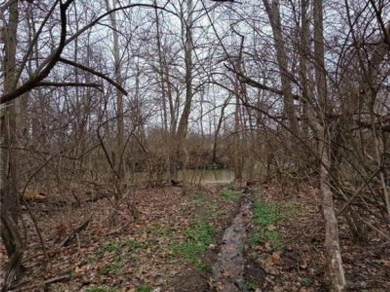 6459 Manning Road, Miamisburg, OH 45342 Photo 63