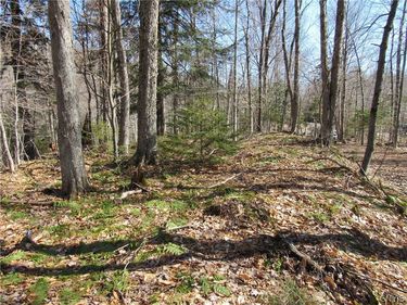 State Route 28, Old Forge, NY 13420