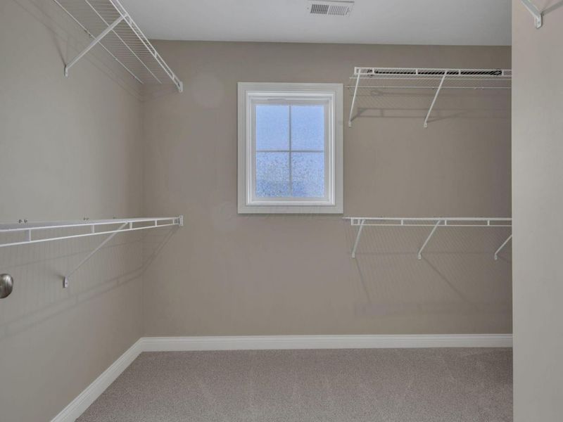 6138 Willow Aster Glen, Grove City, OH 43123 Photo 53