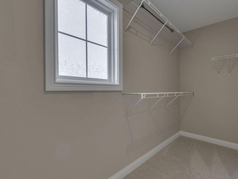 6138 Willow Aster Glen, Grove City, OH 43123 Photo 54