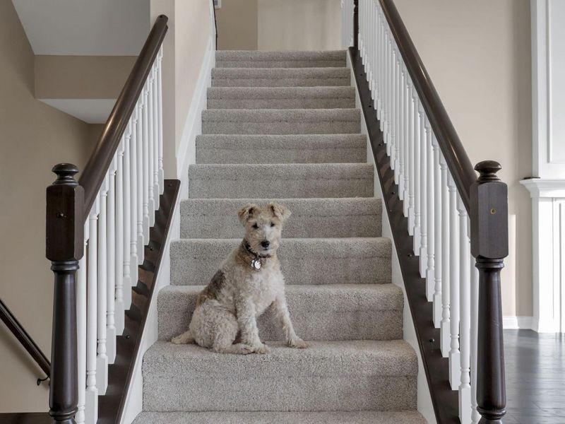 6138 Willow Aster Glen, Grove City, OH 43123 Photo 69