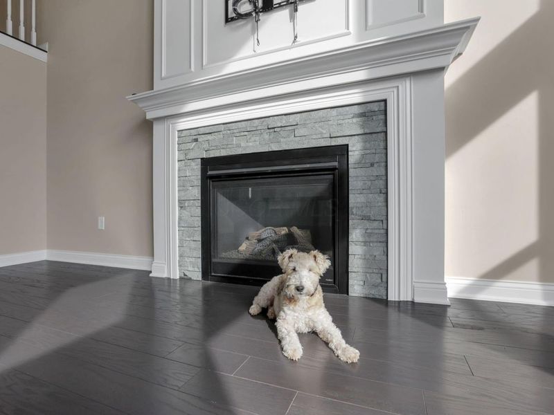 6138 Willow Aster Glen, Grove City, OH 43123 Photo 75