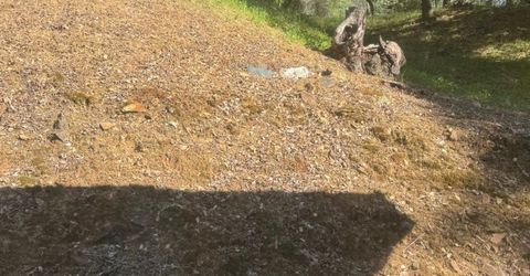 670 Stone House Rd, Auburn, CA 95603 Photo