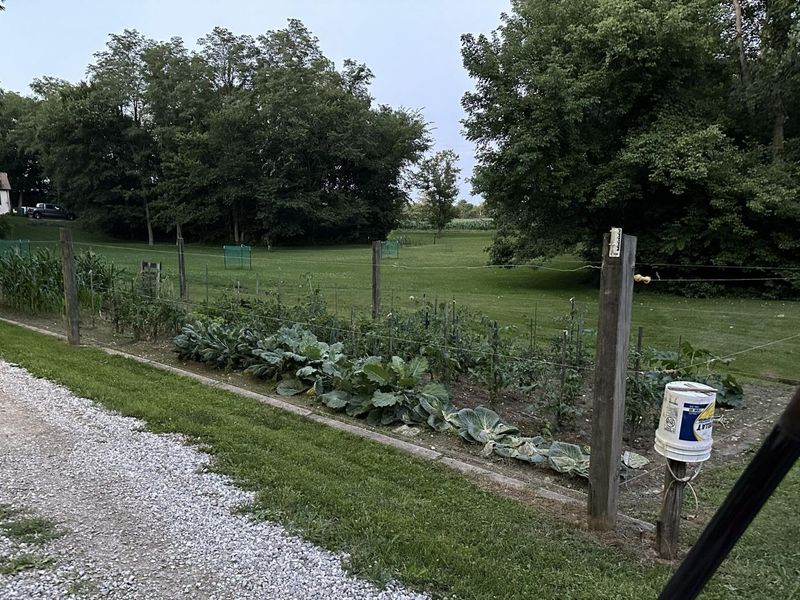 7664 Denunes Road , Johnstown, OH 43031 Photo 68